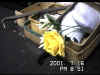 17181ohm.jpg (56116 oCg)