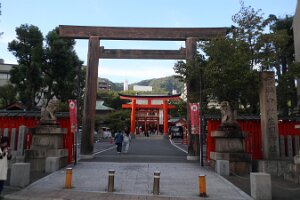 IMG_7954_