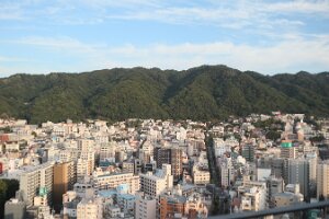 IMG_8111_